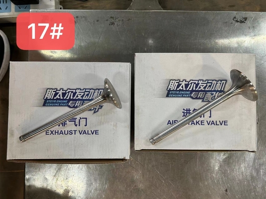 612600050025 Válvula de escape de aire Weichai WP10 Partes de motores diesel