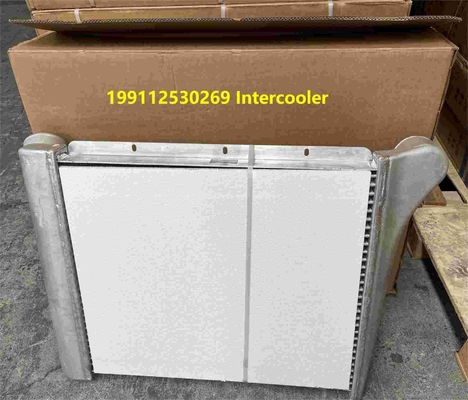 199112530269 Shacman Piezas de camión Intercooler Asamblea Shacman F3000 Piezas de camión