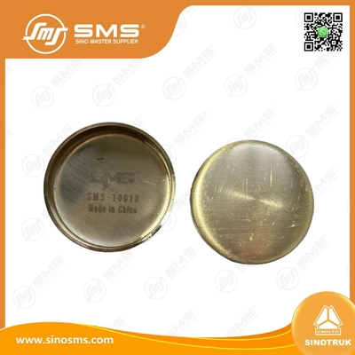 190003989210 Enchufe para agujeros del núcleo HOWO Partes de camión Enchufe para cuencos