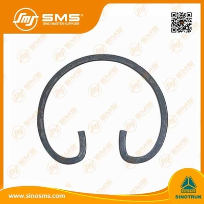 Piezas del camión del ODM HOWO del OEM que conservan a Ring Wd 615 WG1560030012