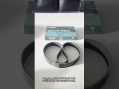 10PK1045 El cinturón